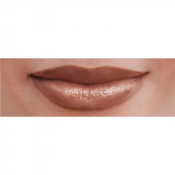Burt's Bees Gloss Lip Crayon