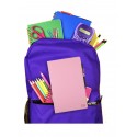 myFirst Sketch Pro 10" Liquid Crystal Sketch Pad w Erase