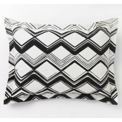 DWELLSTUDIO DUVET SET - PAINTED CHEVRON