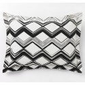 DWELLSTUDIO DUVET SET - PAINTED CHEVRON