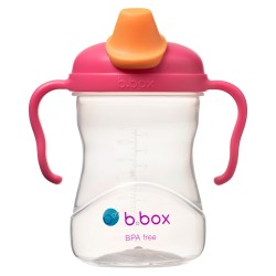 B.Box Spout Cup