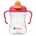 B.Box Spout Cup