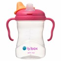 B.Box Spout Cup