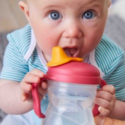 B.Box Spout Cup