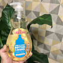 Dapple Naturally Clean Bottles & Dishes - Mango & Melon Scent16.9 FL OZ