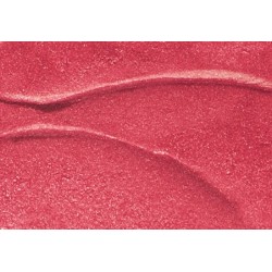 Burt's Bees Lip Shimmer