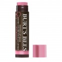 Burt's Bees Tinted Lip Balm