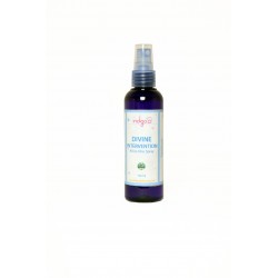 Divine Intervention All-in-One Spray -100ml