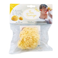 Bellini Sea Sponge
