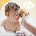 Bellini Sea Sponge