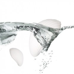 Haakaa Breast Massager (Shell)